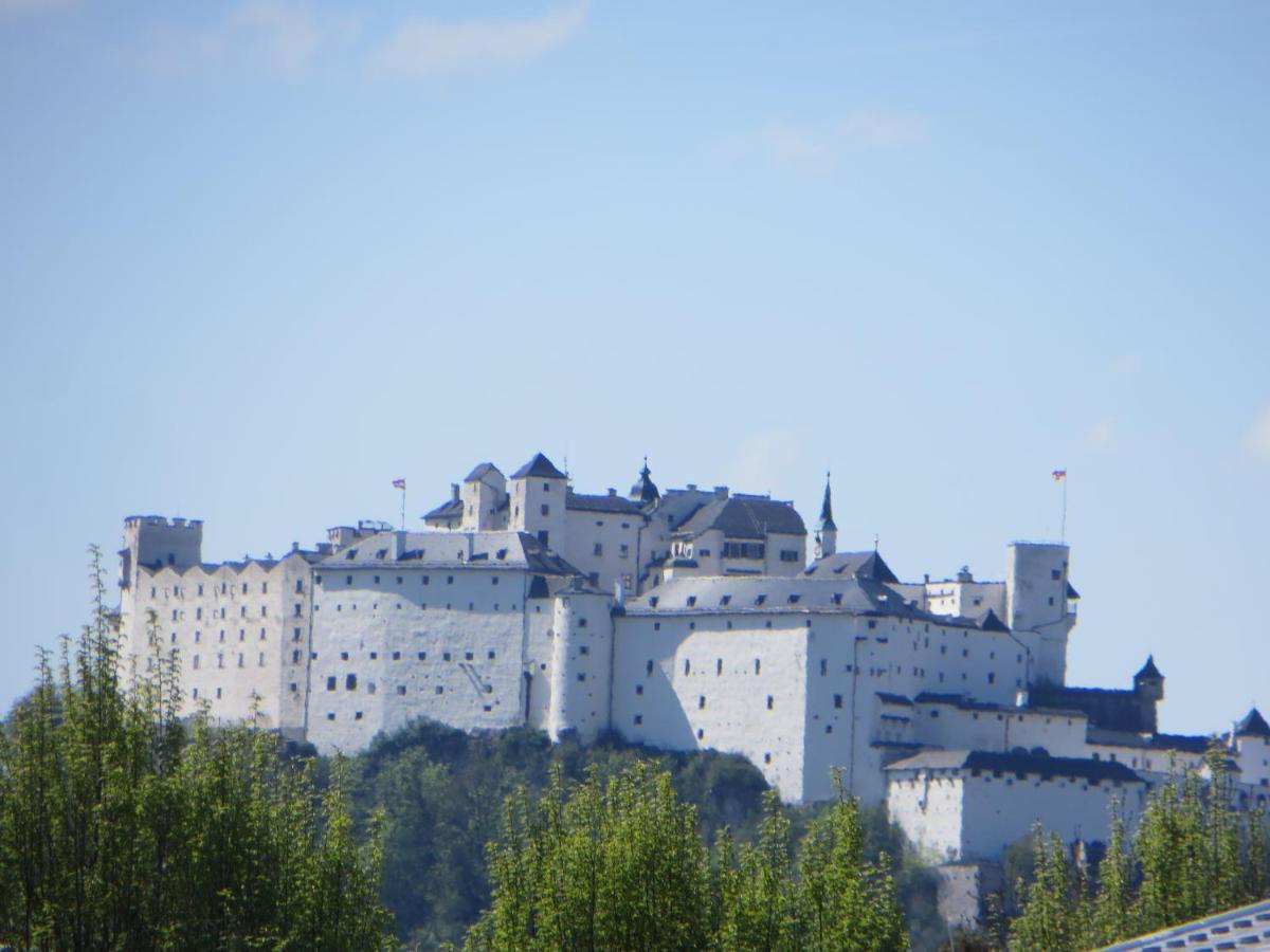 Premium City Apartment Amadeus Salzburg Exterior photo